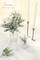Artificial Flocked Eucalyptus Stems Faux Greenery Spray, 18pcs Best Filler Fake Plants for DIY Wedding Bouquet Centerpieces Arrangement